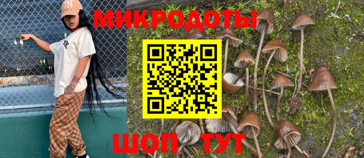 Псилоцибиновые грибы мухоморы  Псилоцибиновые грибы Psilocybe  Вход с VPN  Кириши 